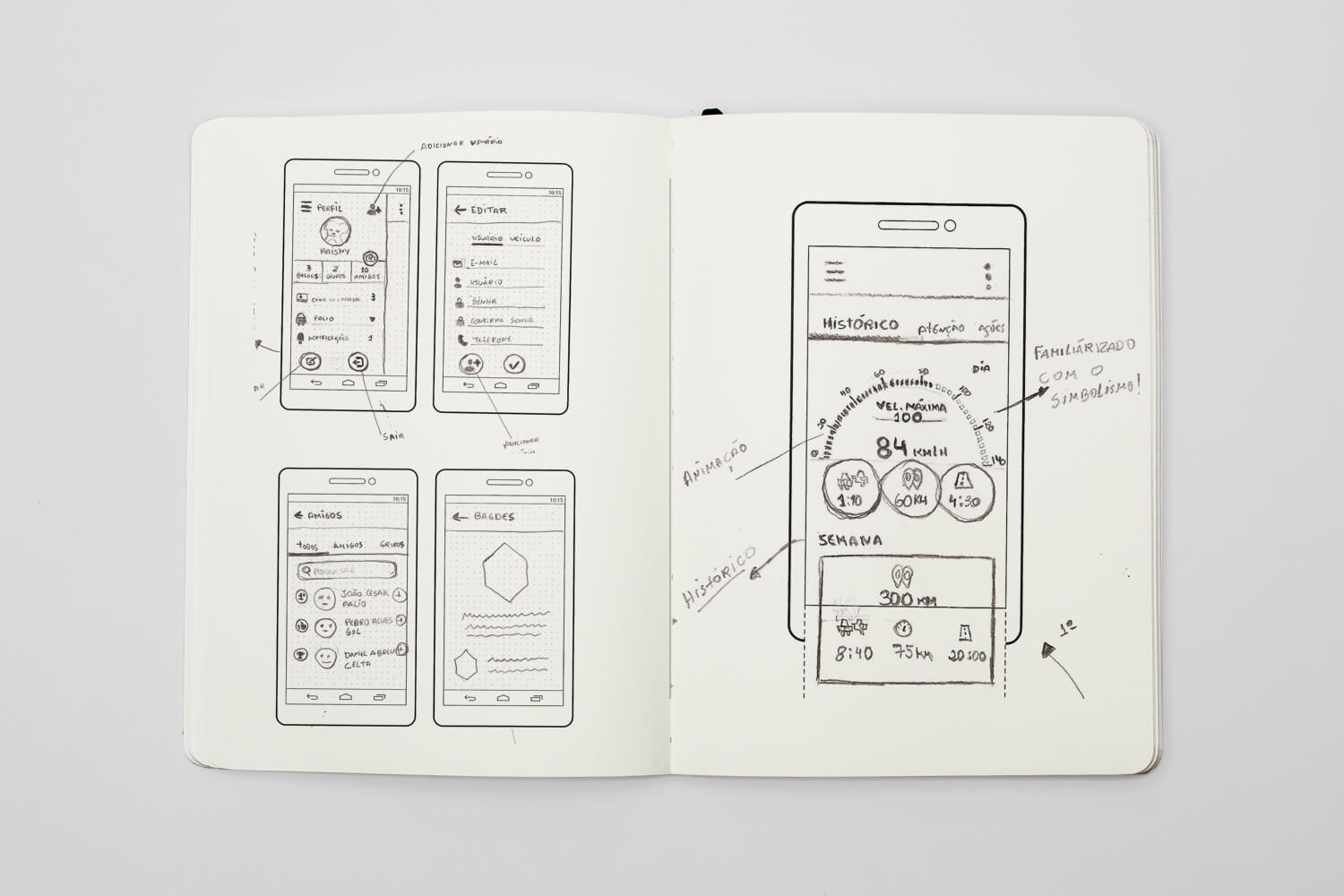 Wireframe Netbee